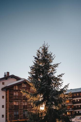 Chandolin Boutique Hotel - image 3