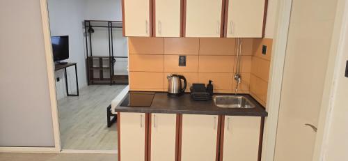 One-Bedroom Apartment image 3