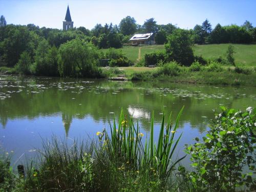La Butte gîte à louer Forêt de Monnoye