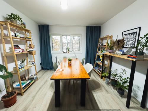 Facilităţi de recreere, Ultra Central Minimal and Cozy Apartment in Centru oraș