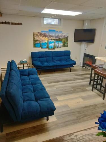 Attractive Lower Level Guest Suite with Private Entrance