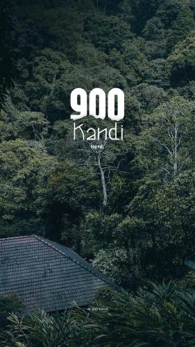 Skyfall 900kandi, Meppādi (foto 3)