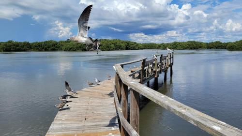 Condo C201 at Natures Landing, Cedar Key (Foto 2)