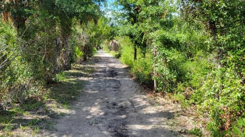 Condo C201 at Natures Landing, Cedar Key (Foto 10)