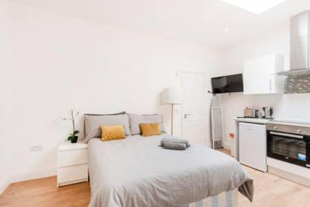 Modern Studio Flat- Camden Town King's Cross Zone 1 3