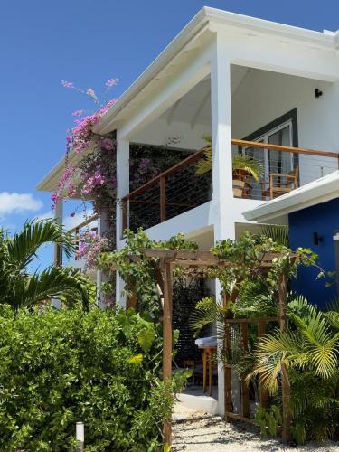 Vue extérieure, The White House in English Harbour