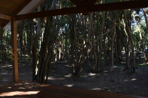 Cabañas Playa Hermosa Lago y Bosque