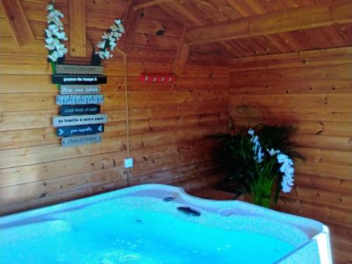 Cabane avec jacuzzi privatif et accès à ferme pédagogique - FR-1-410-459 (Cabane avec jacuzzi privatif et acces a ferme pedagogique - FR-1-410-459) in Cerans Foulletourte
