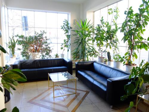Hotel Central - image 6