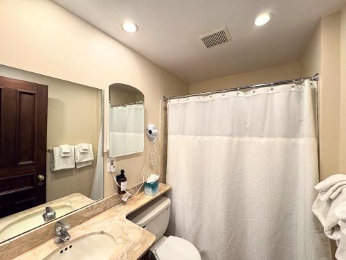 The Copley House - image 5