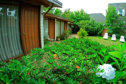 حديقة, Hotel Costanera Pucon in بوكون