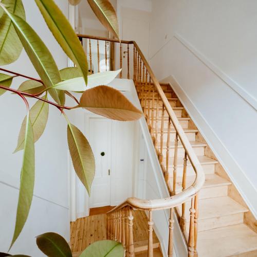 Ambiorix Residence - image 14