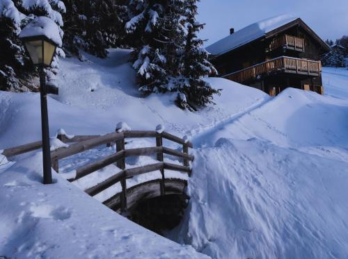 Chratidudel - Ski-in , Ski-out, Bettmeralp (fotografie 6)
