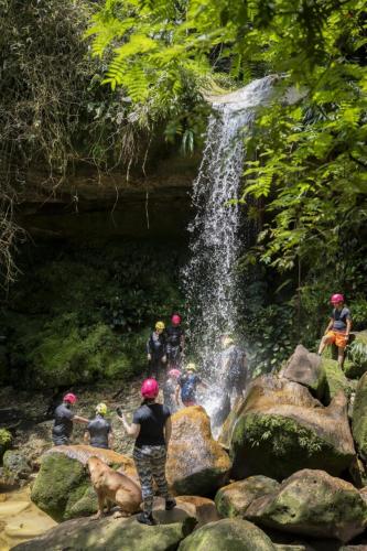 Ixora travel in Acacias