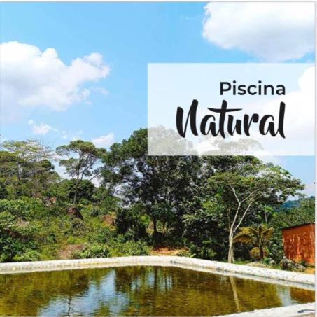 Ixora travel in Acacias