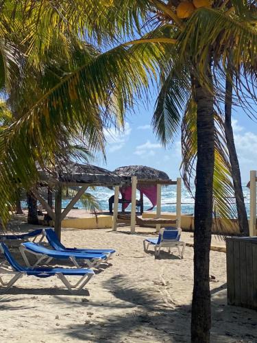 Ecrin Créole Manganao