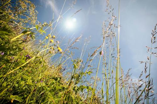 Garnì Aurora Bed and Breakfast Garnì Aurora Bed and Breakfast