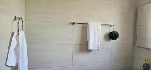 BlissfulBreeze stays in Palapye