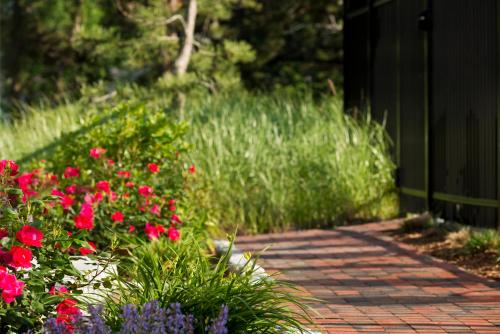 Wellfleet Motel & Lodge