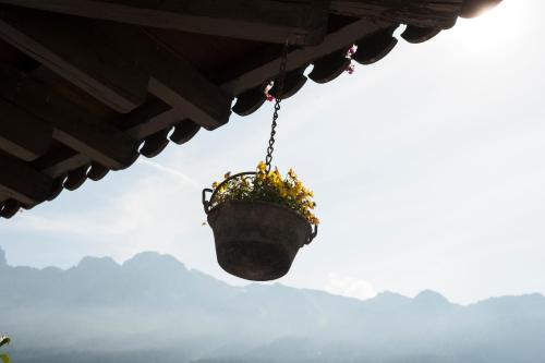 Garnì Aurora Bed and Breakfast Garnì Aurora Bed and Breakfast