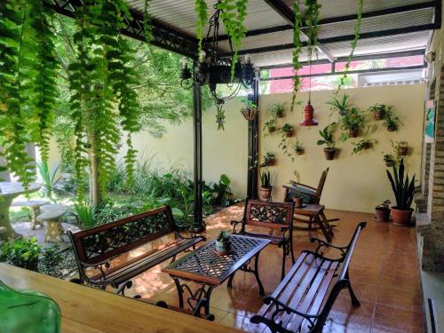 SOLES Hostel Boutique in 셀레도니오 에스칼라다