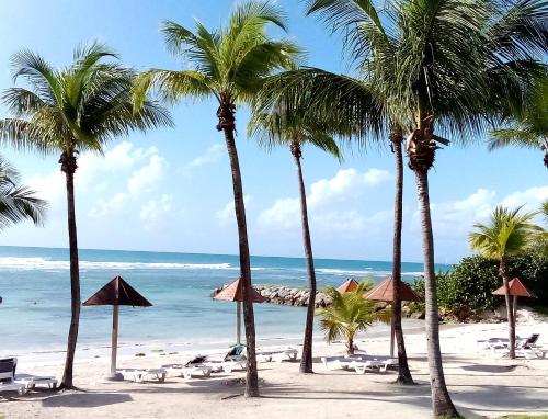 Studio prestige Coco Beach - Location saisonnière - Sainte-Anne