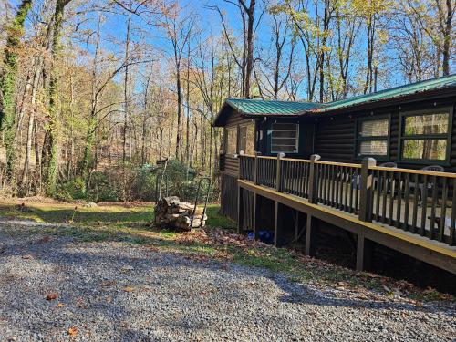 40 minutes to Gatlinburg, mountain hideaway in Cosby (TN)