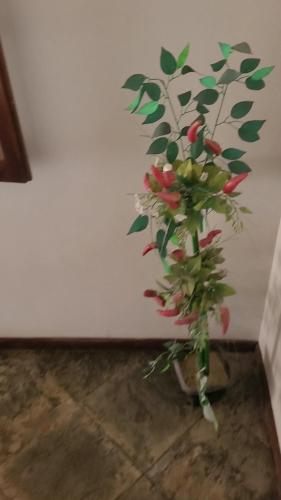 Cantinho do Aconchego in บัลเนียริโอ ดาส กอนชาส