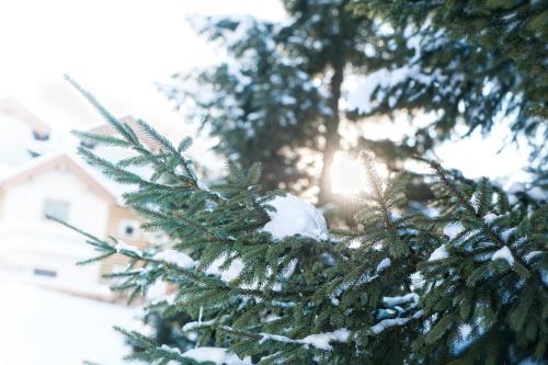 Garnì Aurora Bed and Breakfast Garnì Aurora Bed and Breakfast