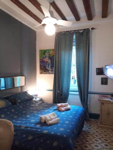 Biennale chambre d'hôte Vignola Piccola