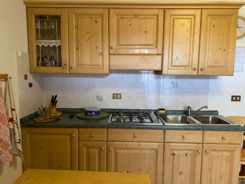 Residenze Ca del bosco Tremol fronte piste in Aviano