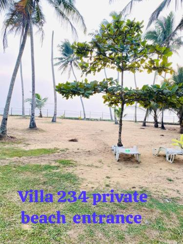 Villa 234, Galle (fotografie 7)