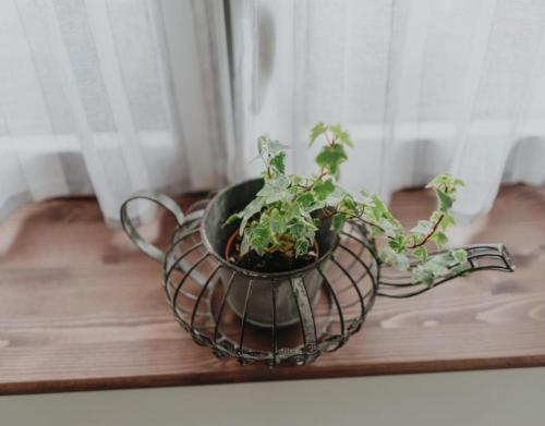 Casa Rural La Medica in Valderredible