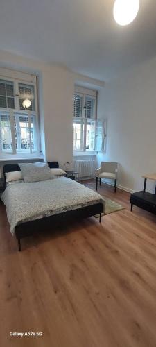 Quiet room with private bathroom in a local home, Berlín (fotografie 7)
