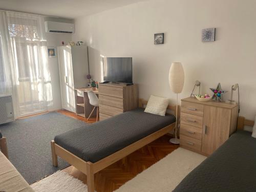 Központi apartman