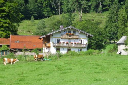 Knogler-Bauer in Schleching, Deutschland