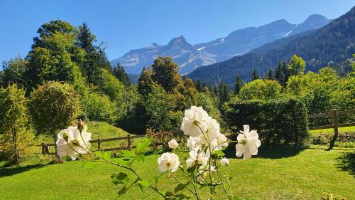 B&B Chalet la Croisee in Les Diablerets