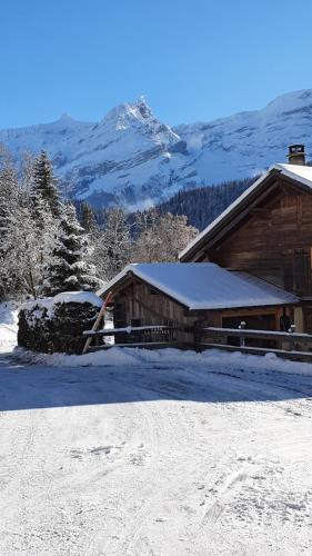 B&B Chalet la Croisée - image 4