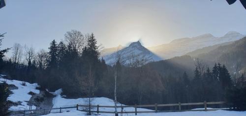 B&B Chalet la Croisée - image 3