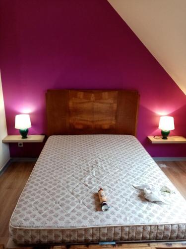 Ti Laouen gîte à louer LE REPOS DU DRIASKER