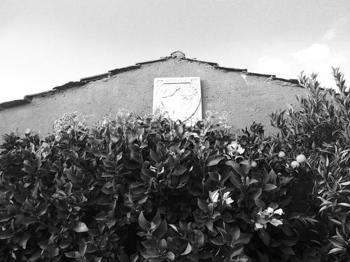 B&B Colle Cucchiara - image 2