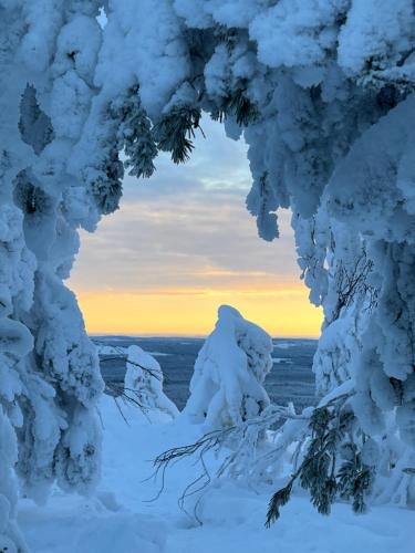 Holiday in Lapland - Villa Huuhkaranta