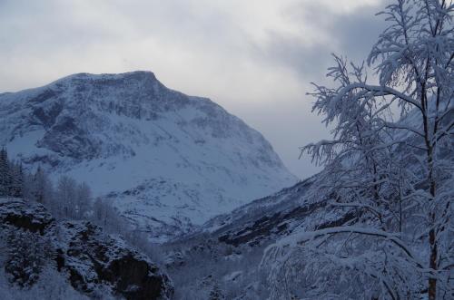 Lunheim in Geiranger - image 5