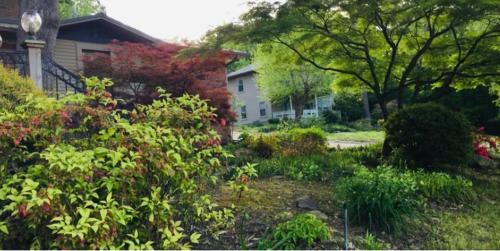 . Paw Paw Tree Estate with Guest House