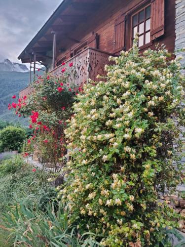 GUEST HOUSE SOPHIE - Chambres d'Hotes -CIR 0196 GUEST HOUSE SOPHIE - Chambres d'Hotes -CIR 0196