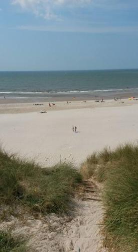 Beach, Apartment Fanny in Hvide Sande