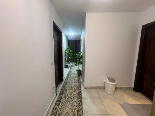 luxurious apartment Amazing Downtown View