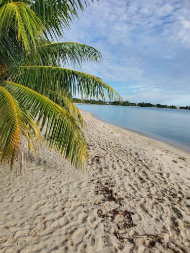 Alentours, Imani's Inn in Placencia