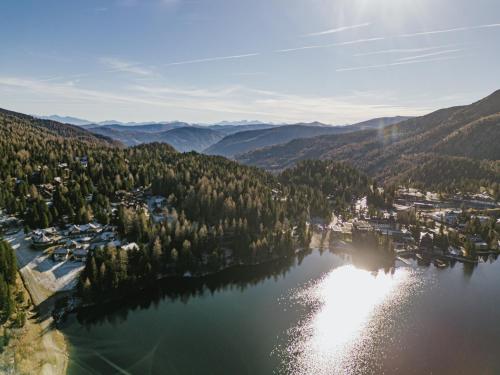 pine19 in Turracher Hohe