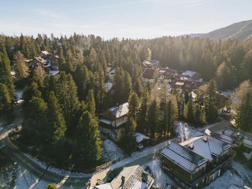 pine19 in Turracher Hohe